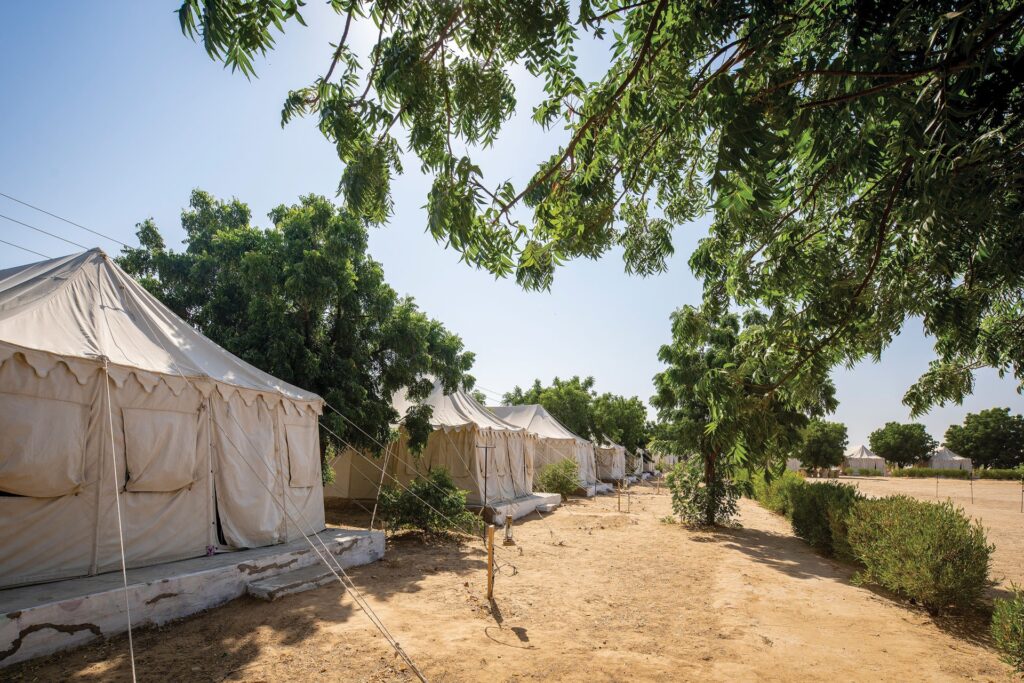 royal desert camps